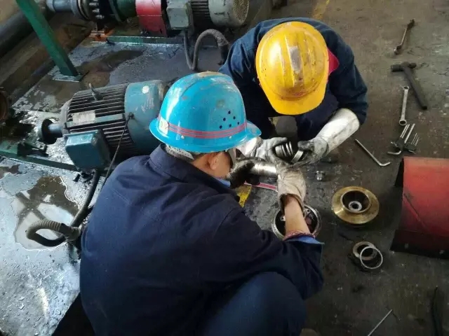¾gĈ