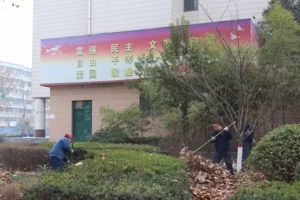 䓹˾t˾ D׃I Ʉ ȫԸƄIDͰlչ