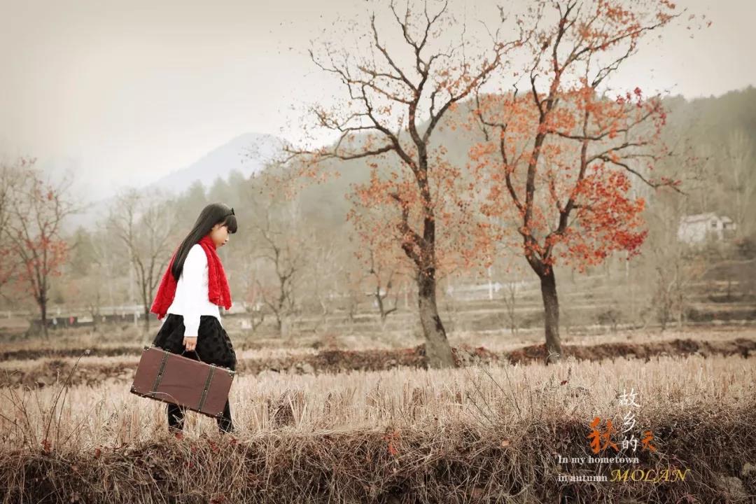 故鄉的秋 故鄉的秋